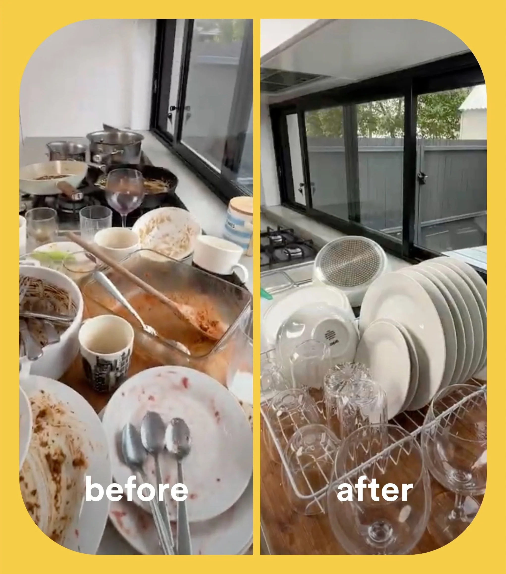 Dish Starter Kit - Image 11