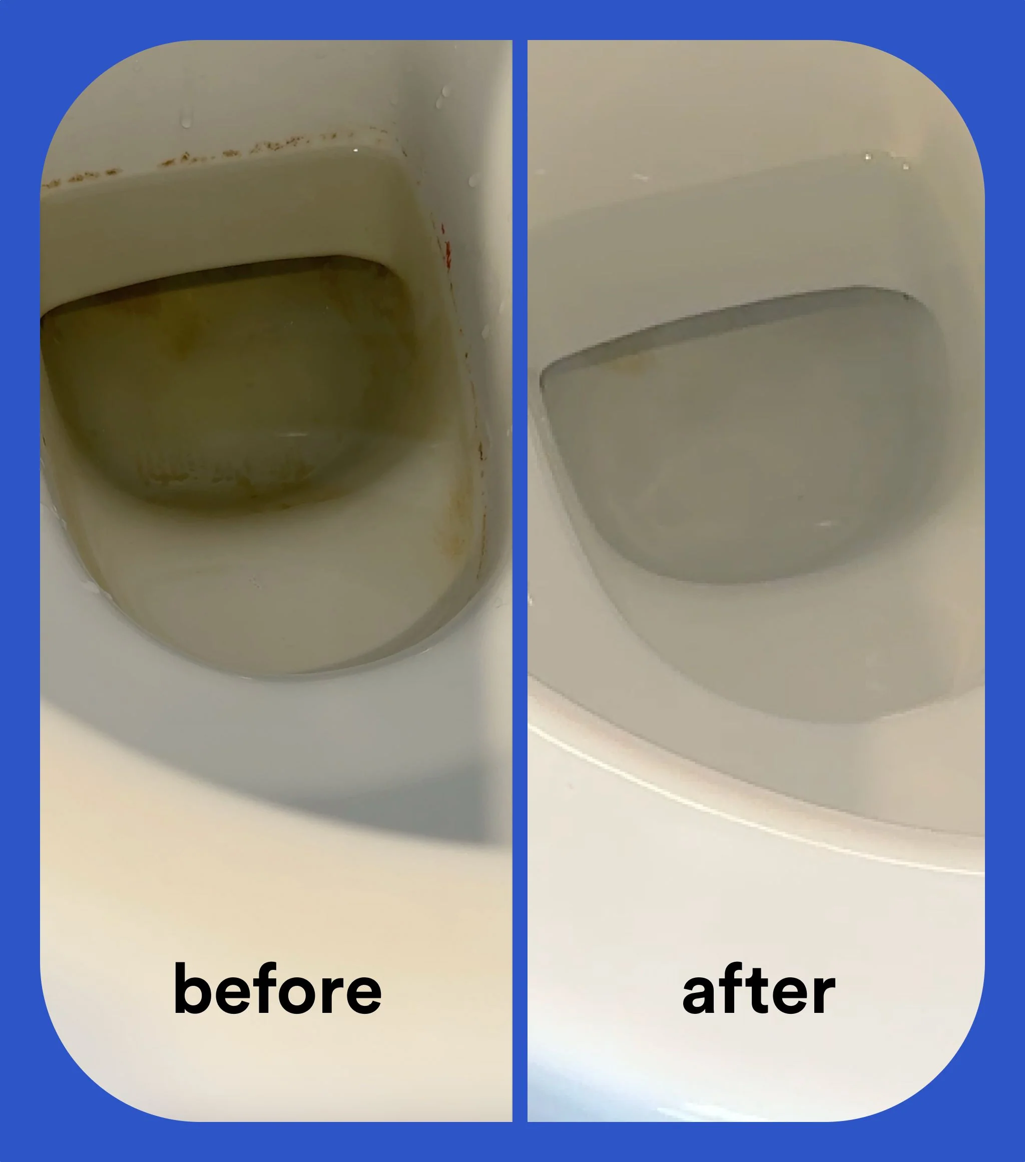 Universal Cleaner + Double Loo Tabs - Image 7